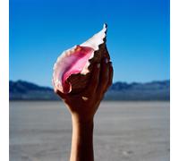 The Killers Wonderful Wonderful (CD) Album