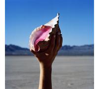 The Killers Wonderful Wonderful (Vinyl) 12" Album (US IMPORT)