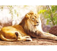 The King of the Savannah
