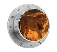The King's Journey Timer Exquisite Stainless Steel Body Desk Visual Timer with Loud Alarm 60-Minute Mechanical Countdown Timers Magnetic Backing Cooking Kitchen Timers for Work