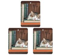 The Kitten Sleeps Car Air Freshener, 3 Pcs Square Hanging Air Freshener Cards, Long Lasting Fragrance Scented Cards for Car, Home, Office White-style