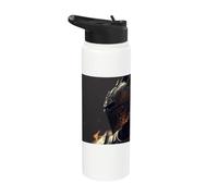 The Knight a Hero the Gloomy World Stainless Steel Insulated Water Bottle