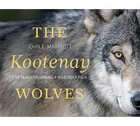 The Kootenay Wolves: Five Years Following a Wild Wolf: Five Years Following a Wild Wolf Pack