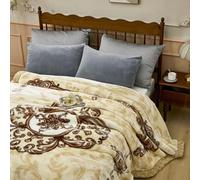 The Korean Mink Blanket, Plush Fleece Blanket,Raschel Flannel Blanket King Size 79"×91",Soft And Warm, Thick,for Autumns,Winter,Bed,Home,Gifts,C,200 * 230cm