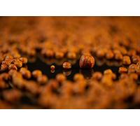 The Krill Floaters 11mm by Sticky