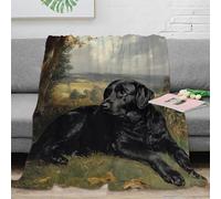 The Labrador Retriever Flannel Fleece Bed Blanket Pattern Throw Blanket Microfiber Lightweight Cozy Plush Blanket for Bedroom Living Rooms Sofa Couch for Kids Teens Adults 50x60inch(127x152cm)