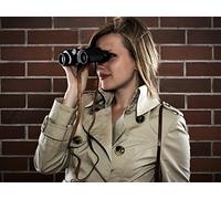 The Lady Detective