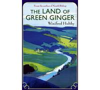 The Land Of Green Ginger: A Virago Modern Classic: 114