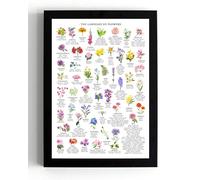 The Language of Flowers Wall Art Print, A5 Framed Botanical Guide Poster, Floral Meanings and Symbolism Chart