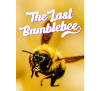 The Last Bumblebee