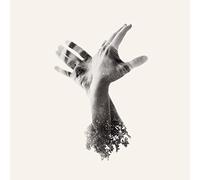 The Last Dinosaur – The Nothing – Naim