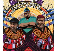 Understand What Black Is by The Last Poets CD Album