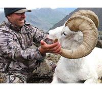 The Last Rockslide - Dall Sheep Hunt part 2