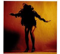 The Last Shadow Puppets - Everything Youve Come to Expect [CD]
