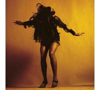 The Last Shadow Puppets - Everything You've Come To Expect