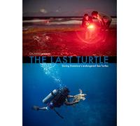 The Last Turtle