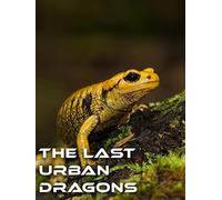 The Last Urban Dragons
