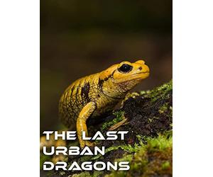 The Last Urban Dragons