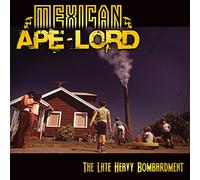 The Late Heavy Bombardment