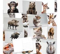 the lazy panda card company 64 Animal Postcards - Postcards of Animals on Isolated Backgrounds, Draws Attention to the Animals