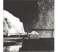 The Leaf Library - Daylight Versions [VINYL]