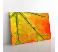 The Leaf of a Sycamore Tree in Abstract Canvas Wall Art Print 30x20 Inch
