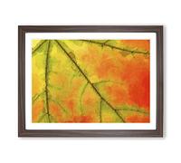 The Leaf Of A Sycamore Tree In Abstract Modern Art Framed Print | A2 Walnut Framed Wall Art | Ready to Hang | Abstract Floral Picture | Living Room Bedroom Lounge Office