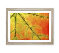 The Leaf Of A Sycamore Tree In Abstract Modern Art Framed Wall Art Print, Ready to Hang Picture for Living Room Bedroom Home Office Décor, Oak A3 (46 x 34 cm)