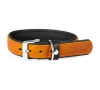 The Leather Dog Collar Vancouver Maroon/Black, Various Sizes, NEW