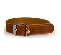 The Leather Dog Collar Weinheim Maroon, Various Sizes, NEW