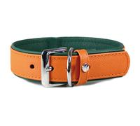 The Leather Strap Dog Collar Firenze Orange/Forest, Various Sizes, New