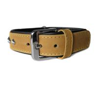 The Leather Strap Dog Collar Roma Sand/Black, Various Sizes, NEW