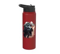 The Legend of the Drachosaurus a Journey Through Imagination Stainless Steel Insulated Water Bottle