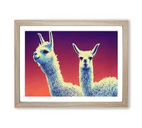 The Legendary Llamas Framed Print | A2 Oak Framed Wall Art | Ready to Hang | Modern Animal Picture | Living Room Bedroom Lounge Office