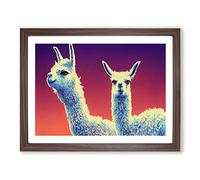 The Legendary Llamas Framed Print | A2 Walnut Framed Wall Art | Ready to Hang | Modern Animal Picture | Living Room Bedroom Lounge Office