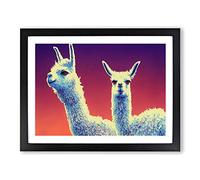 The Legendary Llamas Framed Print | A4 Black Framed Wall Art | Ready to Hang | Modern Animal Picture | Living Room Bedroom Lounge Office