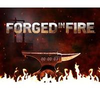 The Legendary Sword of Saladin