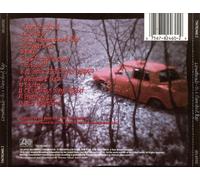 THE LEMONHEADS (GROUP) - IT'S A SHAME ABOUT RAY NEW CD