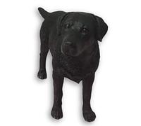 The Leonardo Collection Accessory, Stone, Black, One Size