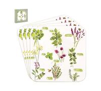 The Leonardo Collection Herb Garden Coasters Set of 4 Jennifer Rose Gallery For Home & Office | Stylish Coaster For Tabletops & Dining Spaces | Decorative Home Accessories for Drinks & Tables