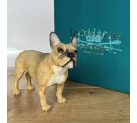 The Leonardo Collection Leonardo Dog Studies FRENCH BULLDOG Fawn/Tan figure/ornament, Resin, H11cm