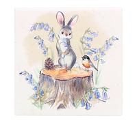 The Leonardo Collection Paper Shed Design Hare & Bird Coaster For Office Home & Kitchen | Lovely Coaster Set For Decorative Home Accessories Drinks Coasters For Tea & Coffee