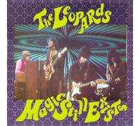 The Leopards - Magic Still Exists [VINYL]