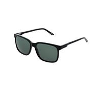 The Lester Sunglasses In Tortoise Shell