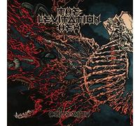 The Levitation Hex - Cohesion