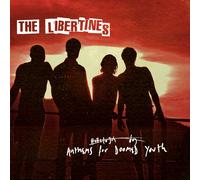 The Libertines | Anthems For Doomed Youth | LP