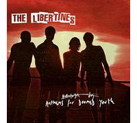 The Libertines – Anthems for Doomed Youth – Vinyl