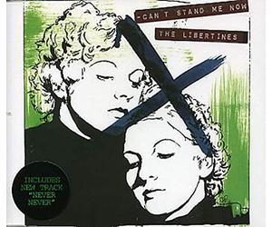 The Libertines - CANT STAND ME NOW