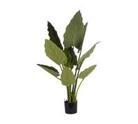 The Libra Company Faux Giant Tora Plant 3.3ft - Polyethylene Plastic - L75xW85xH100 cm in Green The Libra Company Green