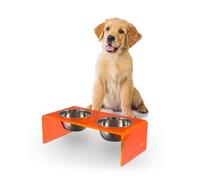 THE LICKER STORE DBL2000E Keaton 5" Small/Medium Modern Acrylic Rectangular Elevated Pet Feeder with 20oz 2-Stainless Steel Bowls, Pink/Chrome